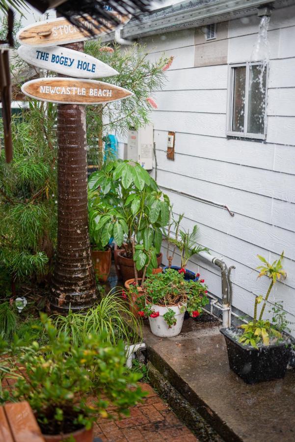 Backpackers Newcastle Hostel Bagian luar foto